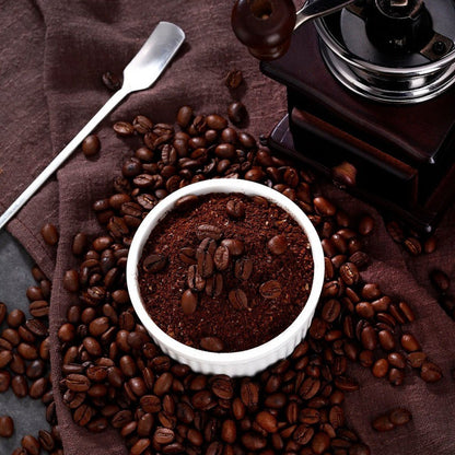 Ethiopia Dorothy Single-Origin Coffee Beans